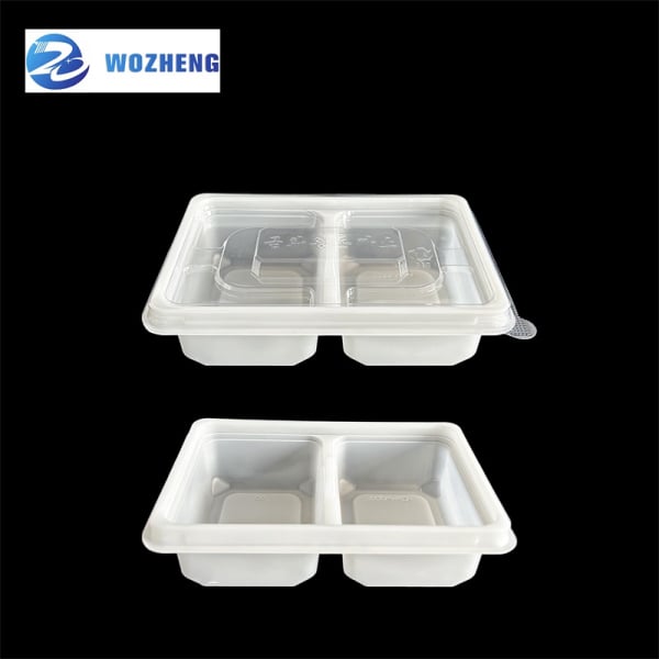 Plastic Container